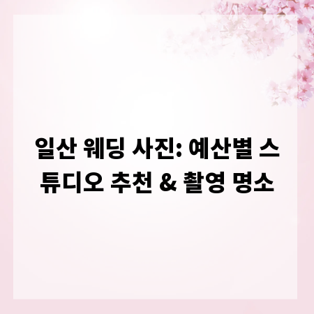 일산 웨딩 사진: 예산별 스튜디오 추천 & 촬영 명소