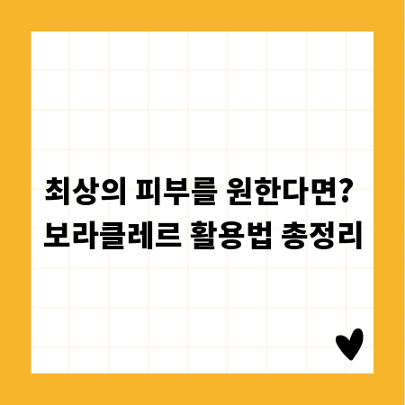 최상의 피부를 원한다면? 보라클레르 활용법 총정리
