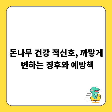 돈나무 건강 적신호, 까맣게 변하는 징후와 예방책