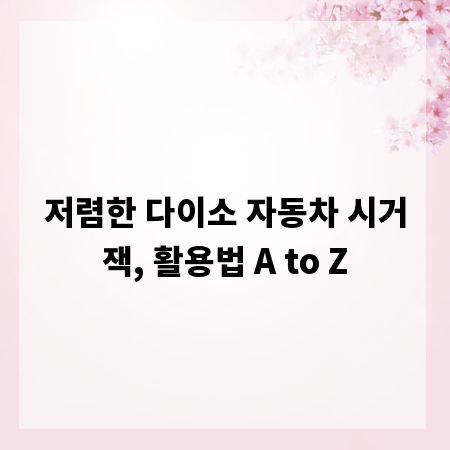 저렴한 다이소 자동차 시거잭, 활용법 A to Z