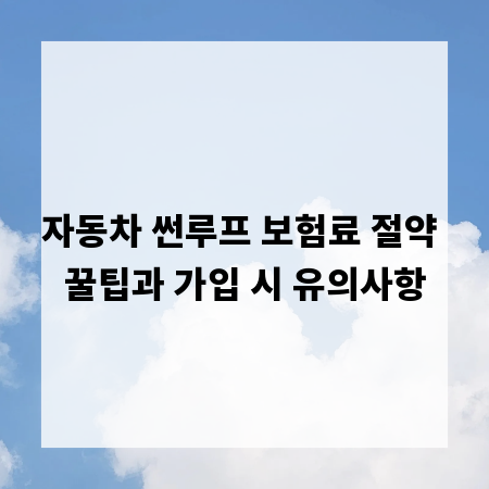 자동차 썬루프 보험료 절약 꿀팁과 가입 시 유의사항