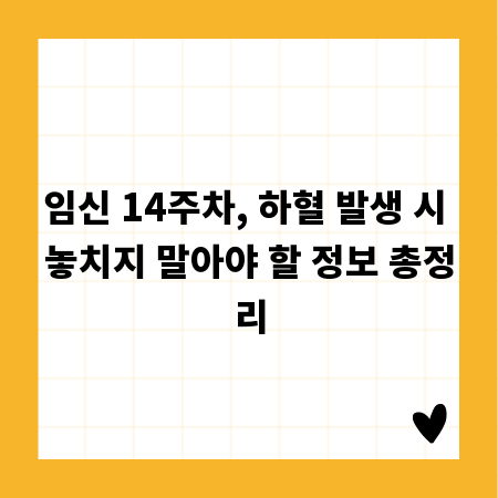 임신 14주차, 하혈 발생 시 놓치지 말아야 할 정보 총정리