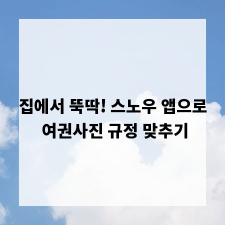 집에서 뚝딱! 스노우 앱으로 여권사진 규정 맞추기
