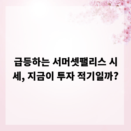 급등하는 서머셋팰리스 시세, 지금이 투자 적기일까?
