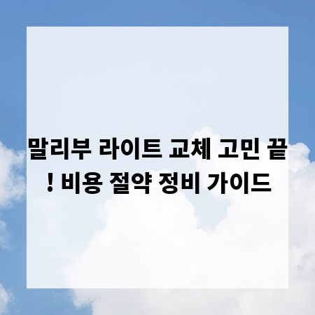 말리부 라이트 교체 고민 끝! 비용 절약 정비 가이드