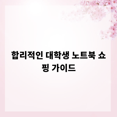 합리적인 대학생 노트북 쇼핑 가이드