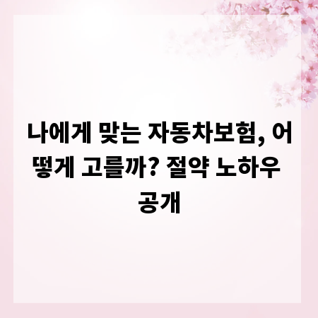 나에게 맞는 자동차보험, 어떻게 고를까? 절약 노하우 공개