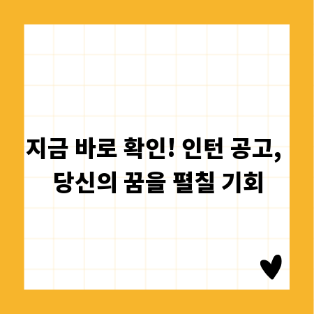 지금 바로 확인! 인턴 공고, 당신의 꿈을 펼칠 기회