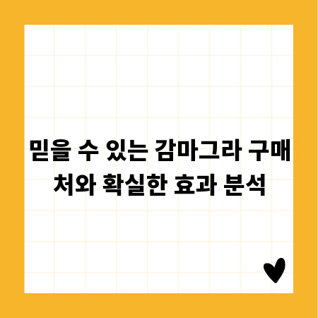 믿을 수 있는 감마그라 구매처와 확실한 효과 분석