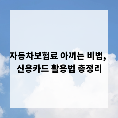 자동차보험료 아끼는 비법, 신용카드 활용법 총정리