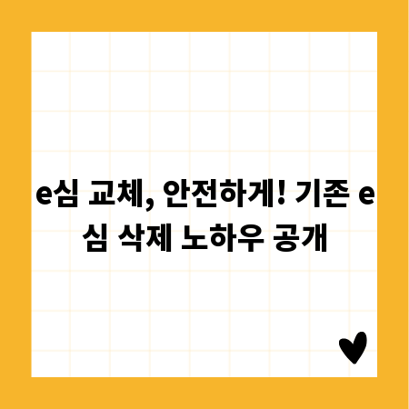 e심 교체, 안전하게! 기존 e심 삭제 노하우 공개