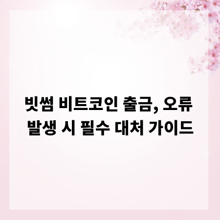 빗썸 비트코인 출금, 오류 발생 시 필수 대처 가이드