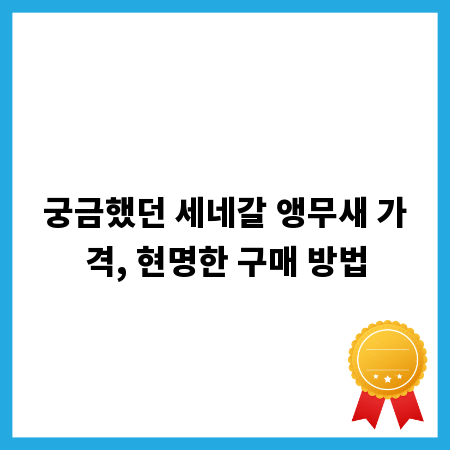 궁금했던 세네갈 앵무새 가격, 현명한 구매 방법