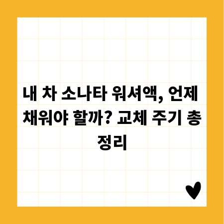 내 차 소나타 워셔액, 언제 채워야 할까? 교체 주기 총정리