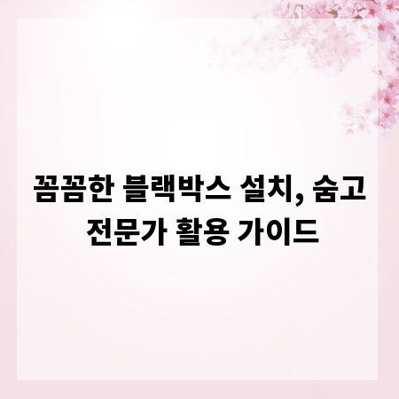 꼼꼼한 블랙박스 설치, 숨고 전문가 활용 가이드