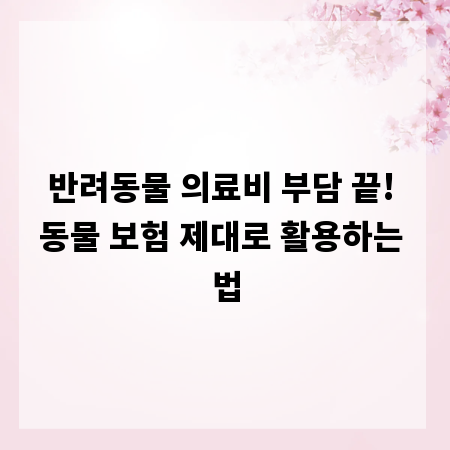 반려동물 의료비 부담 끝! 동물 보험 제대로 활용하는 법