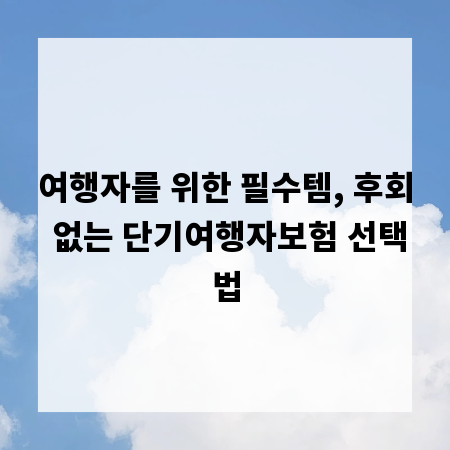 여행자를 위한 필수템, 후회 없는 단기여행자보험 선택법
