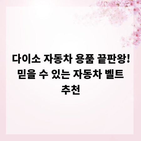 다이소 자동차 용품 끝판왕! 믿을 수 있는 자동차 벨트 추천