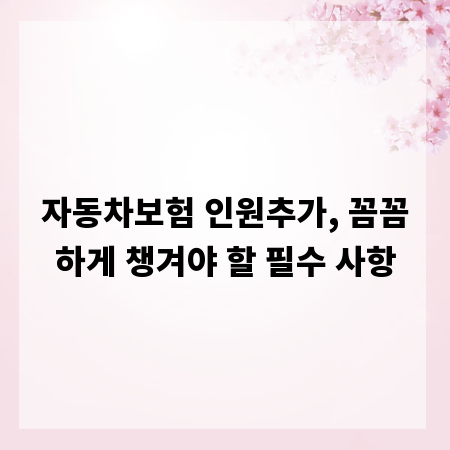 자동차보험 인원추가, 꼼꼼하게 챙겨야 할 필수 사항