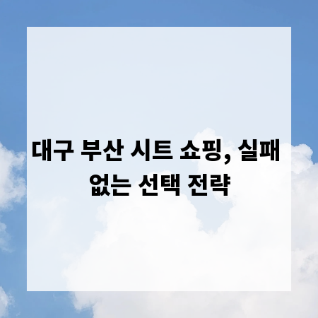 대구 부산 시트 쇼핑, 실패 없는 선택 전략