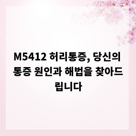 M5412 허리통증, 당신의 통증 원인과 해법을 찾아드립니다