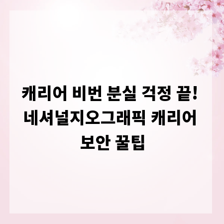 캐리어 비번 분실 걱정 끝! 네셔널지오그래픽 캐리어 보안 꿀팁