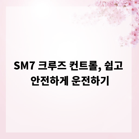 SM7 크루즈 컨트롤, 쉽고 안전하게 운전하기